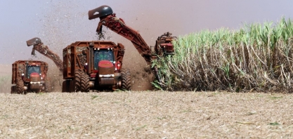 Hedge do açúcar da safra 25/26 do Brasil avança com dólar forte, diz Archer