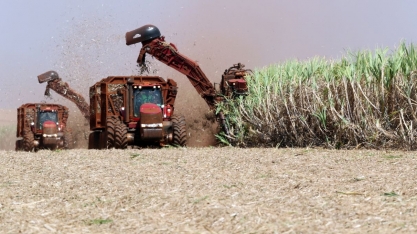 Hedge do açúcar da safra 25/26 do Brasil avança com dólar forte, diz Archer