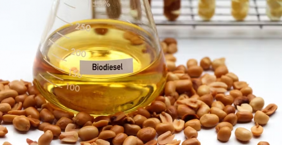 Capacidade de esmagamento de soja pode crescer 11,1 milhões de toneladas ao ano no Brasil — Foto: Getty Images