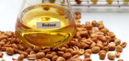 Biodiesel estimula aportes bilionários até 2027
