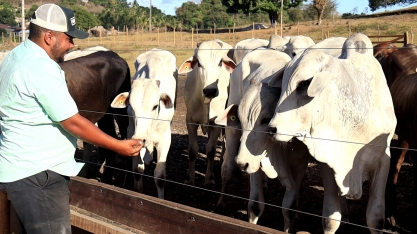 Pindorama inova com projeto do hotel do boi em AL