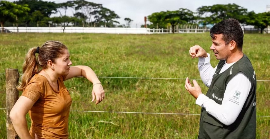 Gerente agrícola deve se destacar entre as profissões no próximo ano — Foto: Wenderson Araujo/CNA