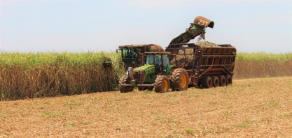 Principais culturas agrícolas de MS têm aumento de área e previsão de produção maior na safra 2024/2025