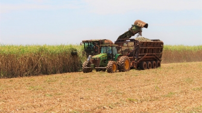 Principais culturas agrícolas de MS têm aumento de área e previsão de produção maior na safra 2024/2025