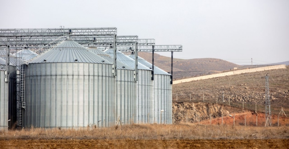 A projeção é que os novos investimentos aumentarão a capacidade instalada de esmagamento de soja no Brasil de 59,8 milhões de toneladas em 2024 para 72,1 milhões de toneladas em 2027 (iStock.com/gece33)