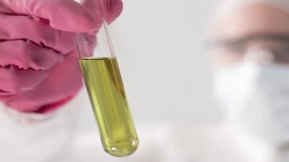 Agro tem papel de destaque na produção de conhecimento