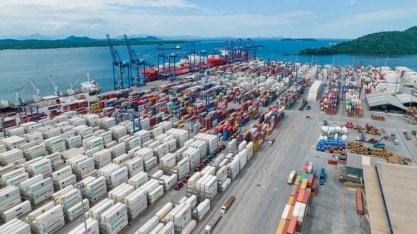 Aumento de custos, menos crédito e mais exportação: como o dólar alto afeta o agro brasileiro