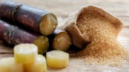 Açúcar: contratos futuros fecham com forte alta nas bolsas internacionais