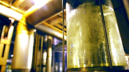 Sindalcool-PB reforça a necessidade da transição energética