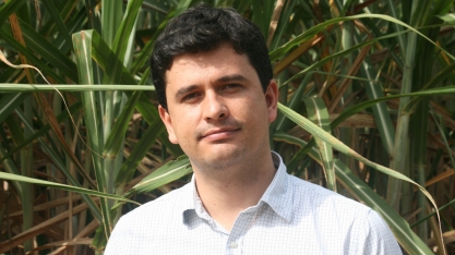 Câmara aprova programa de incentivo a fontes renováveis e inclui produtores de cana