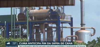 Safra da cana-de-açúcar deve terminar antes da hora em todo o centro-sul