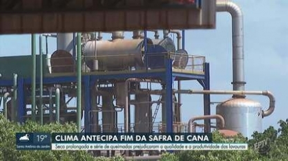 Safra da cana-de-açúcar deve terminar antes da hora em todo o centro-sul