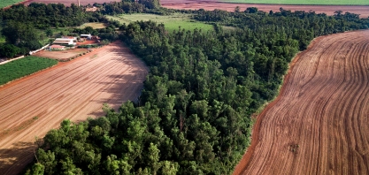 Mercado de Carbono deve fomentar a preservação ambiental