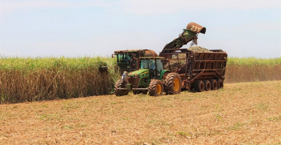 Colheita da cana-de-açúcar em usina de Mato Grosso do Sul. (Foto: Arquivo/Semadesc)