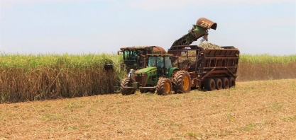 Produtividade da cana tem queda de 19% em novembro no Centro-Sul; área plantada cresceu em MS