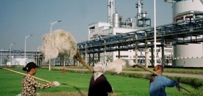 China precisa do biocombustível brasileiro para diversificar suas fontes de energia