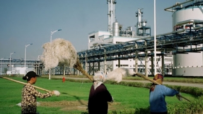 China precisa do biocombustível brasileiro para diversificar suas fontes de energia