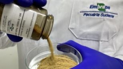 Embrapa abre concurso público para 1.027 vagas