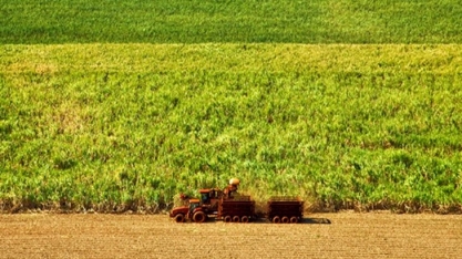 Cepea moderniza integração de dados no setor sucroenergético