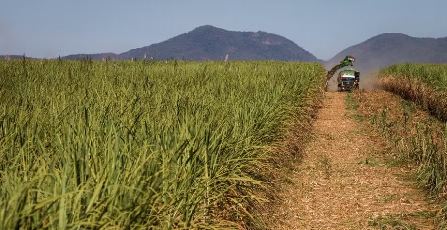 Produtores de cana dizem que a lei é favorável ao setor sucroenergético — Foto: Wenderson Araújo/CNA