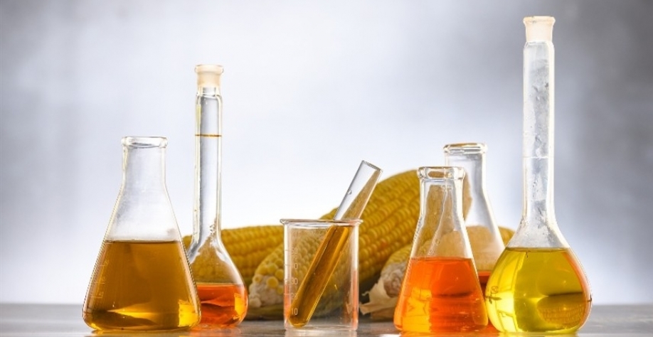 Mato Grosso, um dos maiores polos produtores de milho do Brasil, teve uma safra recorde - Foto: Pixabay