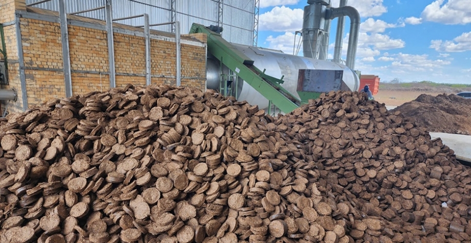 Os primeiros testes em escala industrial para produção de briquetes com o sorgo-biomassa foram realizados em outubro deste ano e mostraram bons. Foto: Acervo Calmais