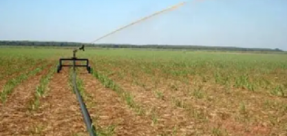 O manejo integrado de irrigação