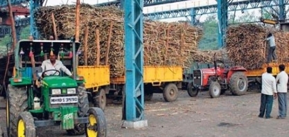 Produção de açúcar da Índia cairá 14,7% a/a em 2024/25, diz órgão comercial