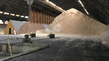 Sindaçúcar-AL: usinas processaram mais de 1,2 mi de toneladas de açúcar