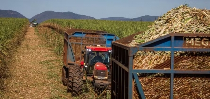 Após queda de 27% na moagem de cana, Raízen interrompe previsão de resultados