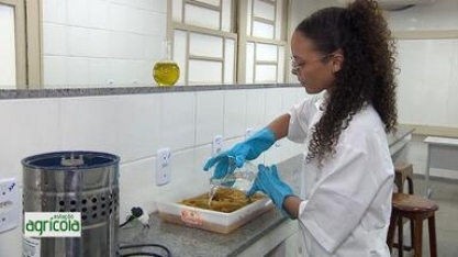 Estudantes da rede estadual de SE desenvolvem avental térmico com bagaço de cana de açúcar