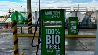 Produção brasileira superou marca dos 9 milhões de m³ em 2024