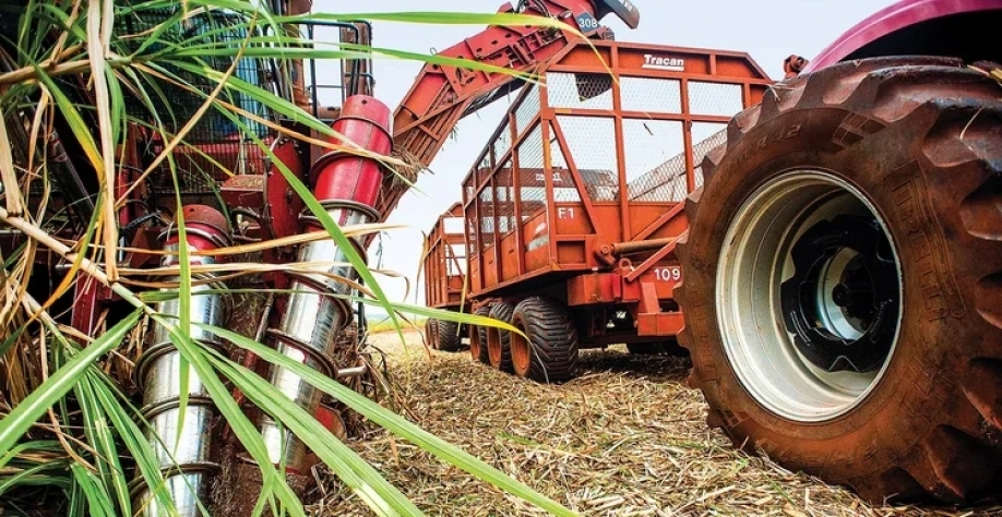 Produção global de açúcar apresenta desafios e oportunidades, com mercados ajustando expectativas. (Emiliano Capozoli/Exame)