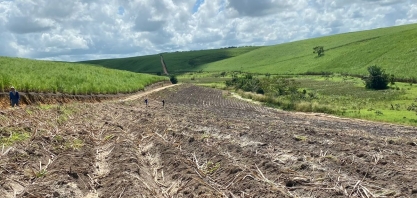 Setor canavieiro aposta em safra da cana com maior produtividade