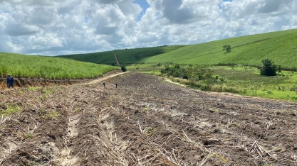 Setor canavieiro aposta em safra da cana com maior produtividade