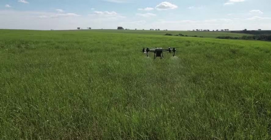 Drone usado na aplicação de agentes biológicos em canavial da Tereos; sistema reduz custos, segundo a empresa — Foto: Divulgação