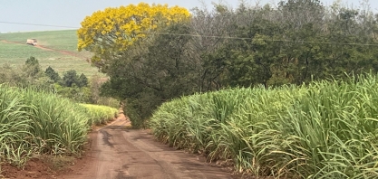 Evolução do RenovaBio impulsiona ganhos sociais e sustentabilidade nos transportes