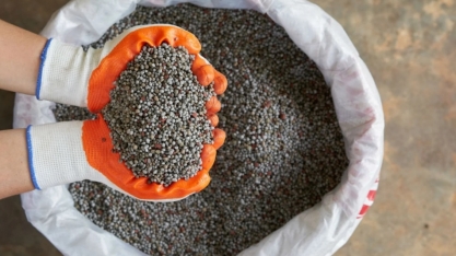 Brasil busca reduzir dependência internacional de fertilizantes ao atrair investidores globais