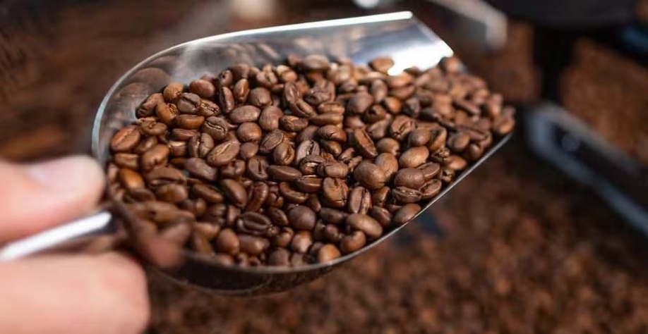 Especulação em torno do café pode deixar o mercado imprevisível — Foto: Wenderson Araújo/CNA