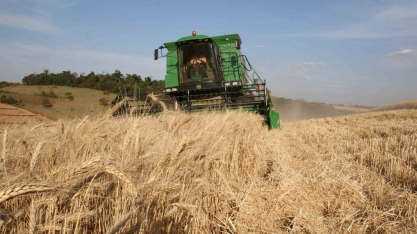 Agro contribui com maior oferta e contenção do preço dos alimentos