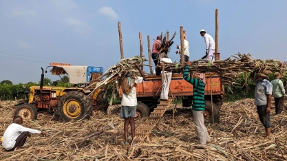 Ações de produtores de açúcar da Índia saltam com notícia sobre exportações