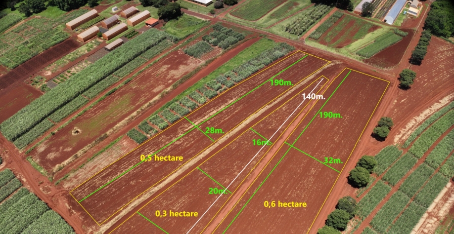 O Cana Show-IAC contará com áreas de cana-planta, cana-soca, rotação de cultura, dinâmicas de máquinas, agricultura de precisão, biológicos