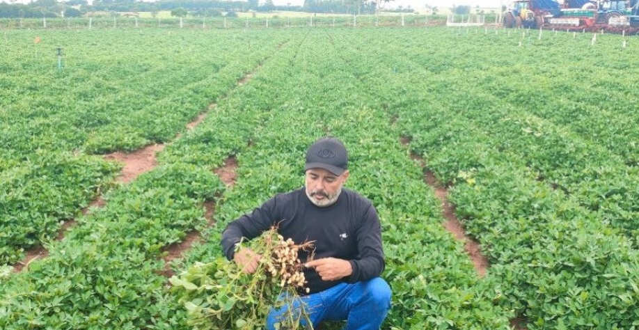Produtor rural Aldo Lopes Rosa acredita em produtividade alta: de 150 a 200 sacas por hectare - Foto: Divulgação