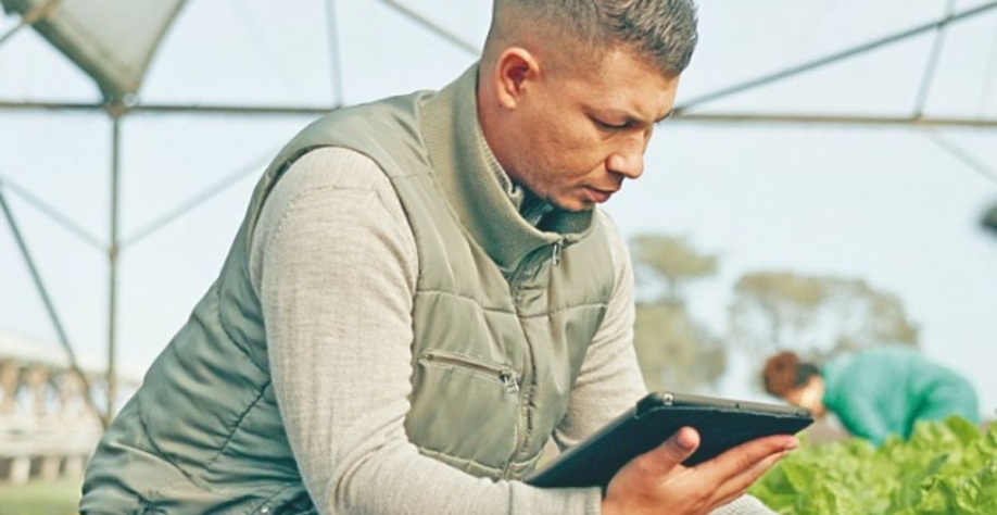 Número de ocupados no agro foi impulsionado pelo aumento no contingente de pessoas nas agroindústrias | Crédito: Reprodução AdobeStock