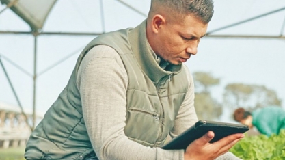 Agro do País empregou 28,4 milhões de pessoas no 3º trimestre de 2024