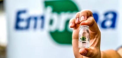 Inscrições para concurso da Embrapa encerram nesta sexta-feira