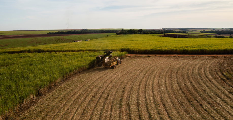A bioenergia leva infraestrutura e desenvolvimento para as zonas rurais