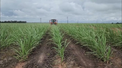 ORPLANA celebra sanção do PATEN e reforça importância da valorização dos produtores rurais