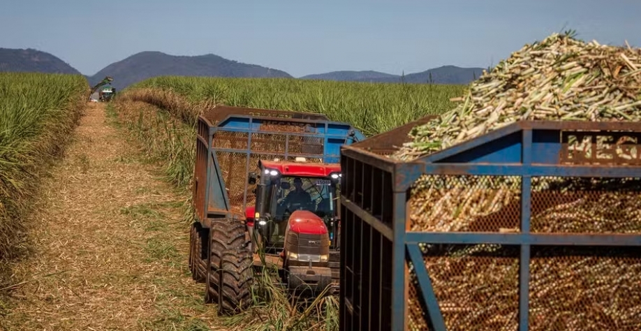 LDBS oferece soluções que são capazes de produzir mais etanol a partir de uma mesma quantidade de cana-de-açúcar — Foto: Wenderson Araújo/CNA