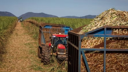 Demanda por etanol e juros altos podem impulsionar biotecnologia em leveduras